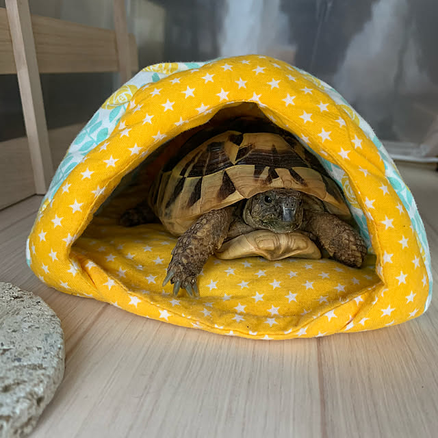 romiromiさんの実例写真
