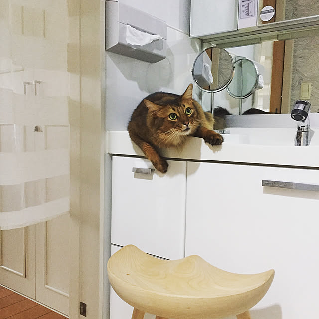 shihoさんの実例写真