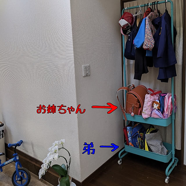 dadaさんの実例写真