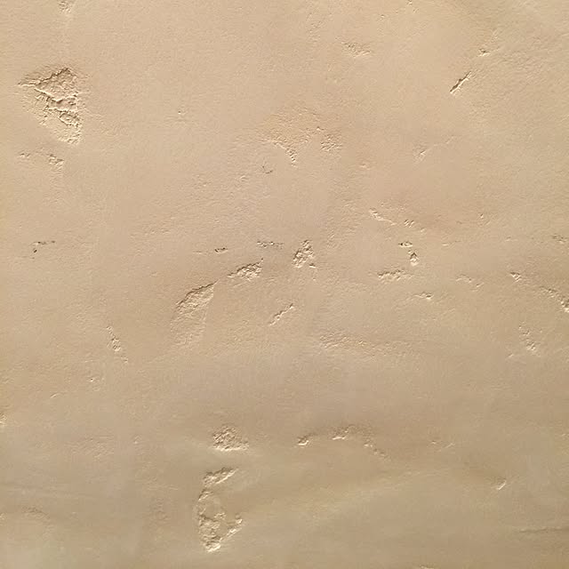 usausaさんの実例写真