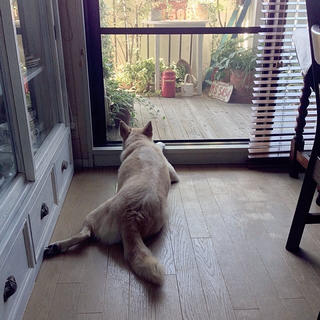 leonaさんの実例写真