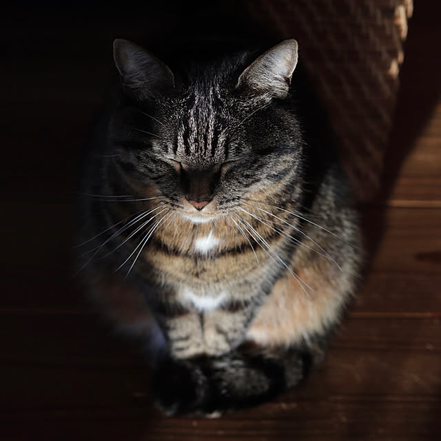 onsix777さんの部屋