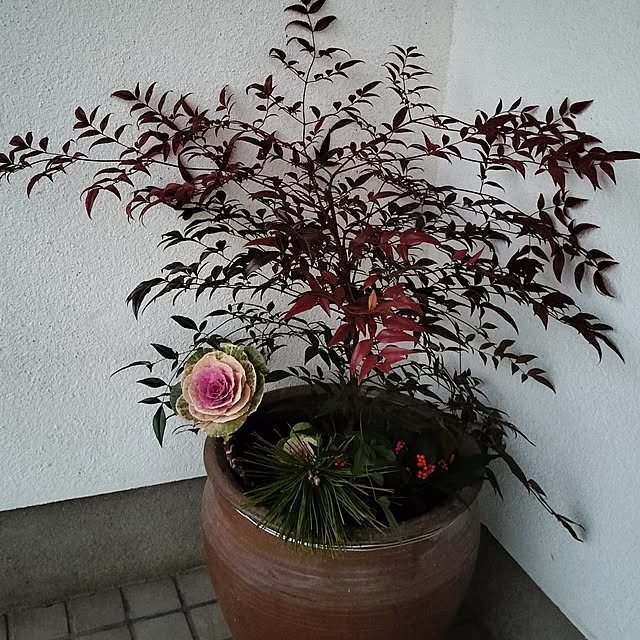 sumimarumiさんの部屋