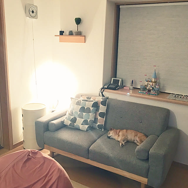 haritakaさんの実例写真