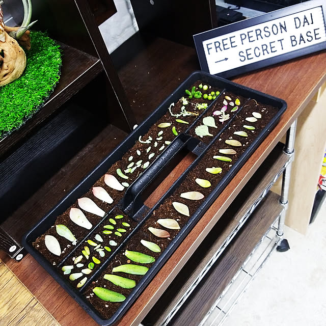 Daiさんの実例写真