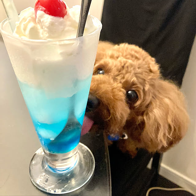 MOMOMAMAさんの実例写真