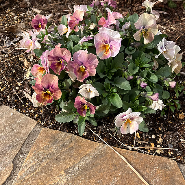 nbby16さんの部屋