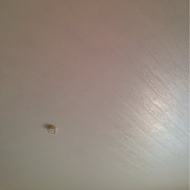 Reiさんの実例写真
