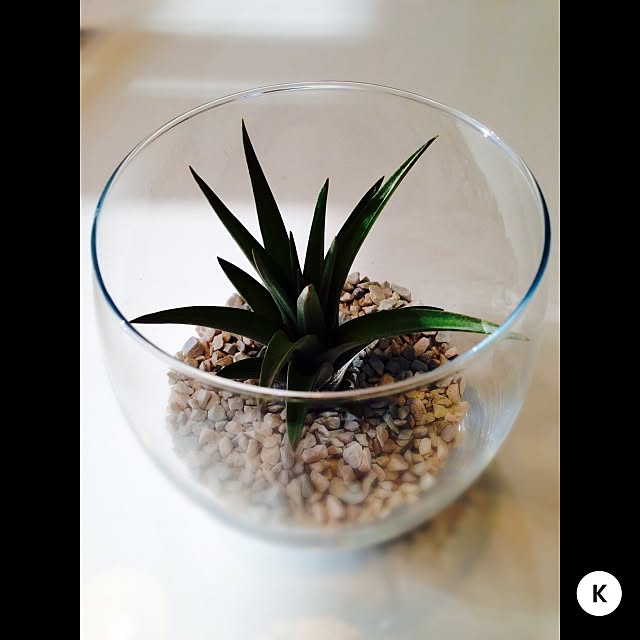 kazuya.designさんの実例写真
