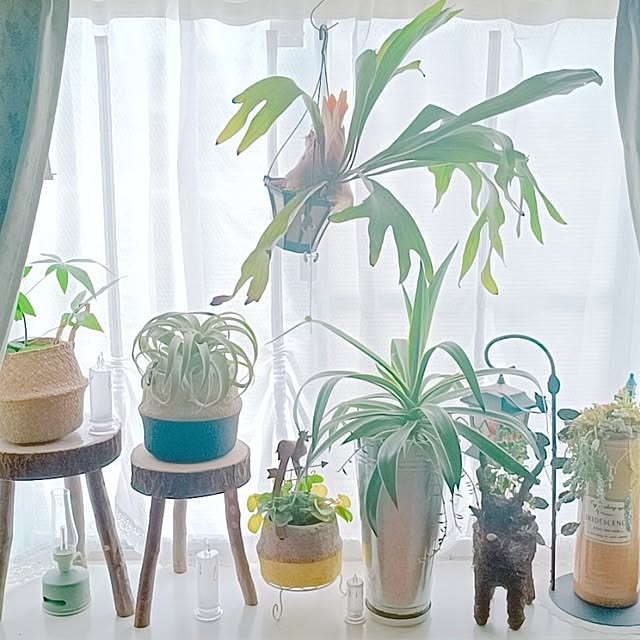 Hanakaさんの部屋