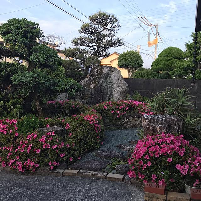 LoversGtrさんの実例写真