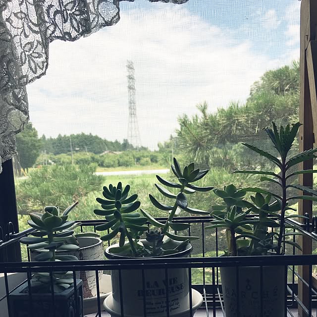 kimkimさんの実例写真