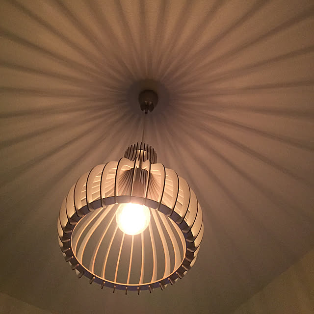 Ruiさんの実例写真