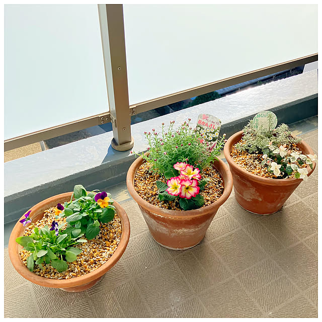 ksfioriさんの部屋