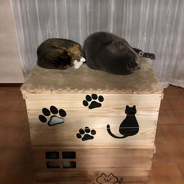 nya_sanさんの実例写真