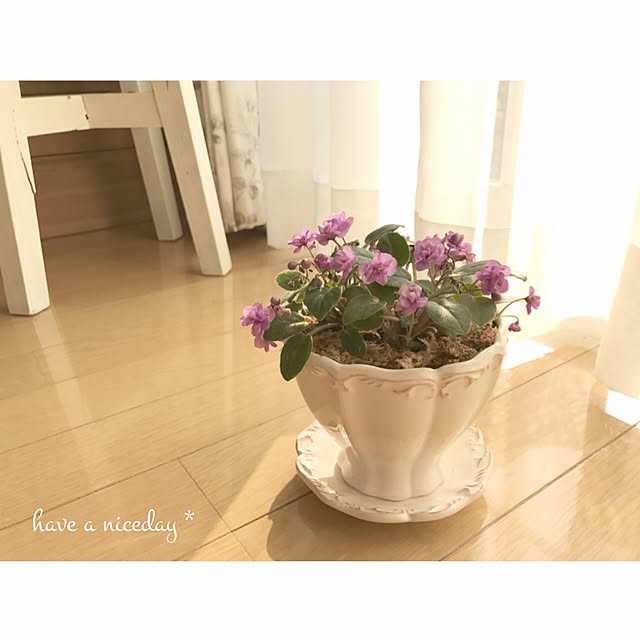 s.mamaさんの実例写真
