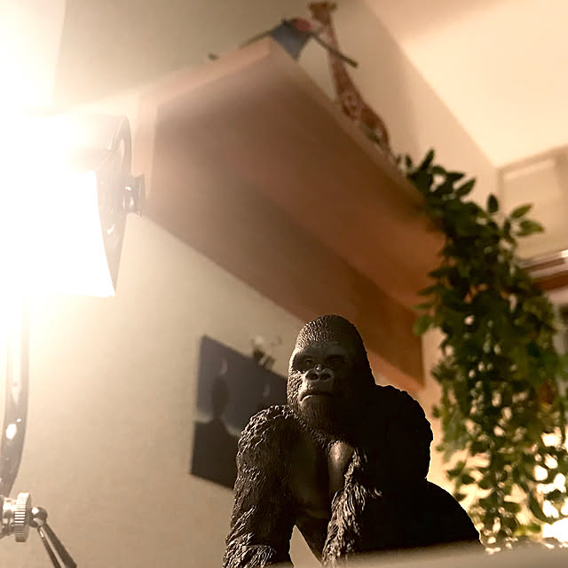 op8kn4さんの実例写真