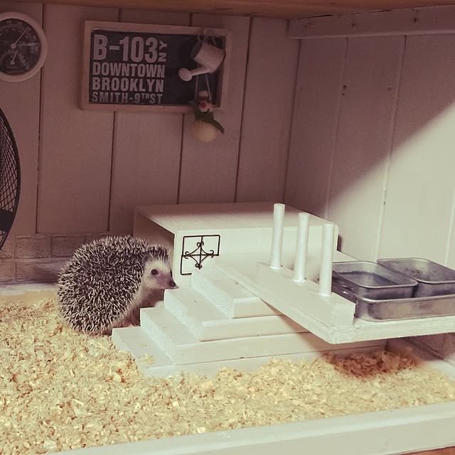 RURULOVEさんの実例写真