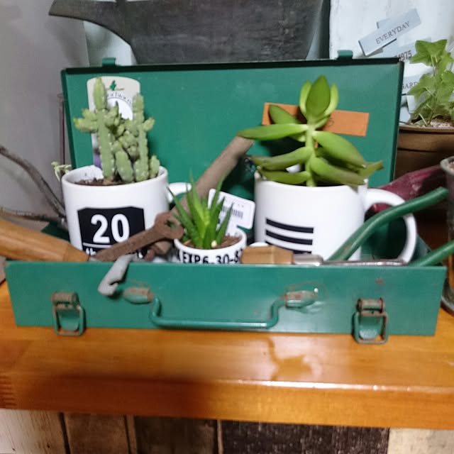 tikuwaさんの実例写真