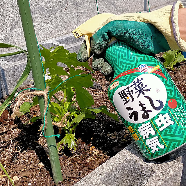 GARAGE__HOUSEさんの実例写真