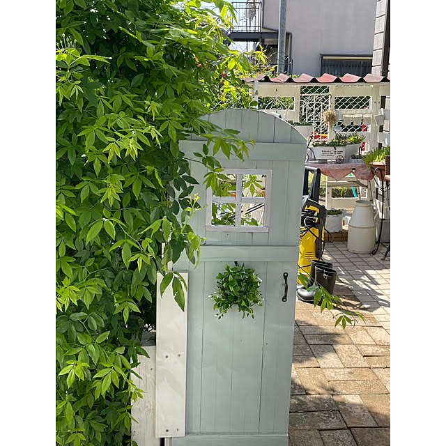 momocchiさんの部屋
