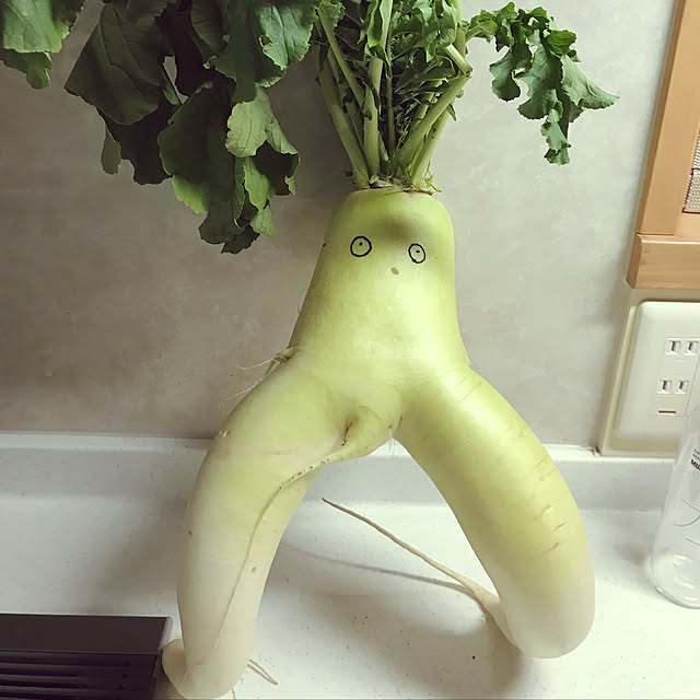 toshiさんの実例写真