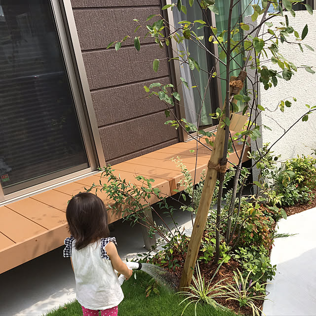 shihodaさんの実例写真
