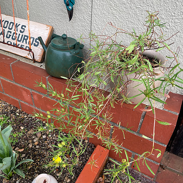 shin0719さんの部屋