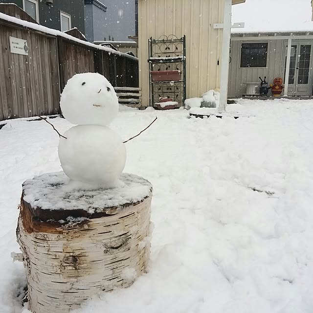 cotubuさんの実例写真