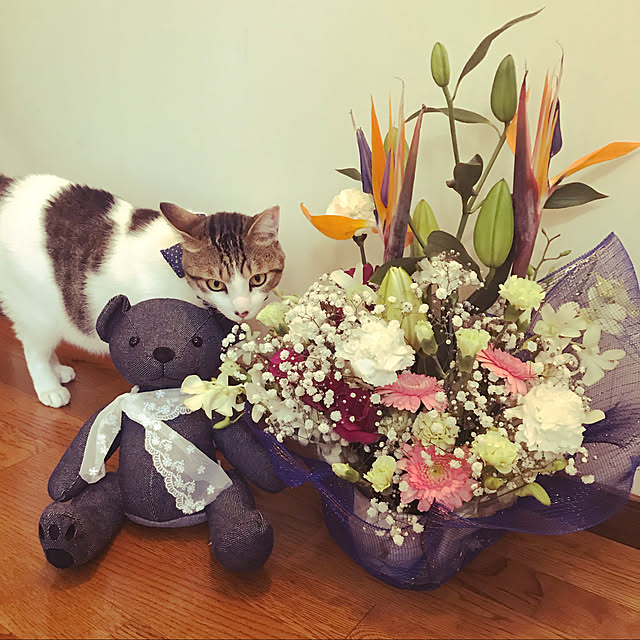bearさんの実例写真