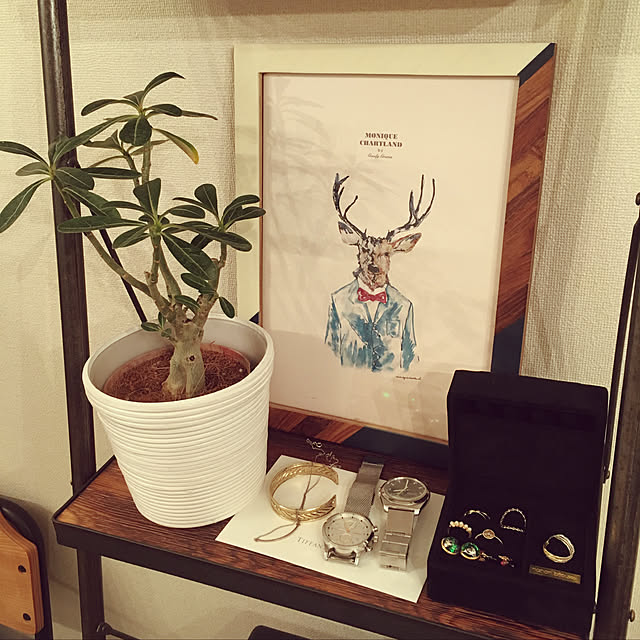 Ellenaさんの実例写真