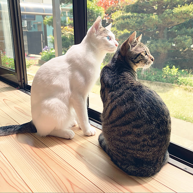 fuku-mimiさんの実例写真