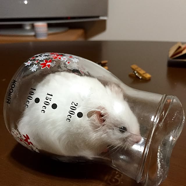 Meryさんの実例写真