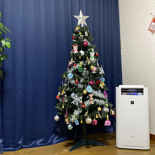 n_k6369さんの実例写真