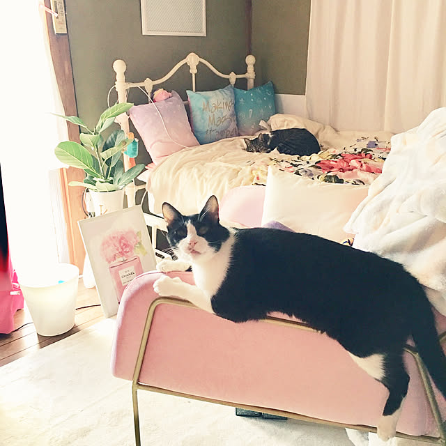 brbrnknkさんの実例写真