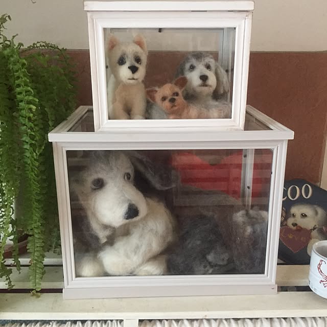 cooさんの実例写真