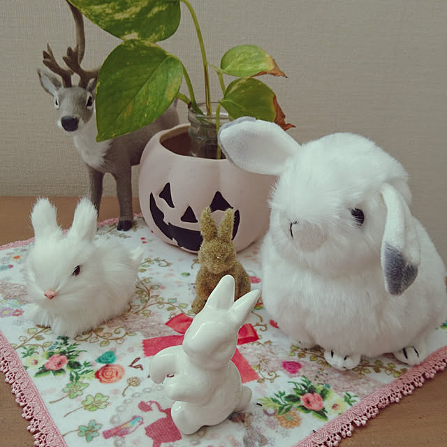 shizukuさんの実例写真