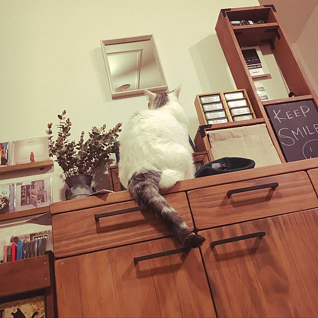 Miechamさんの実例写真