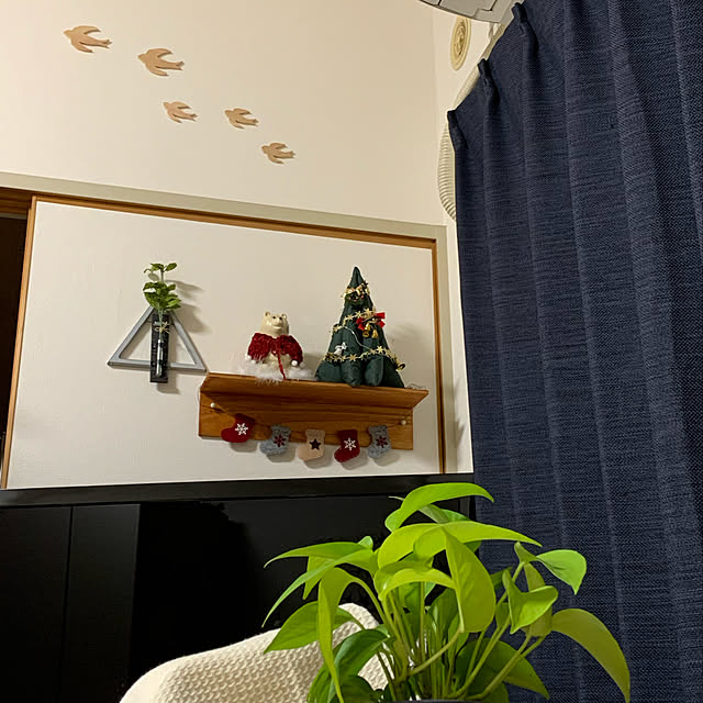 miyumiyuさんの実例写真