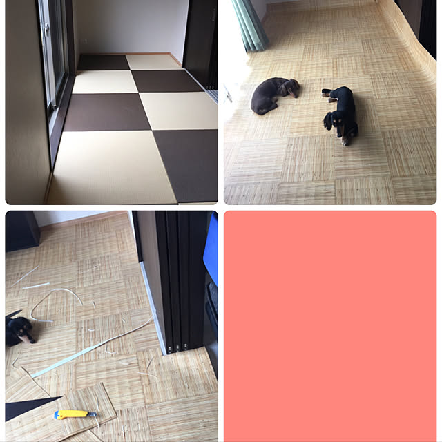 donanmamaさんの実例写真
