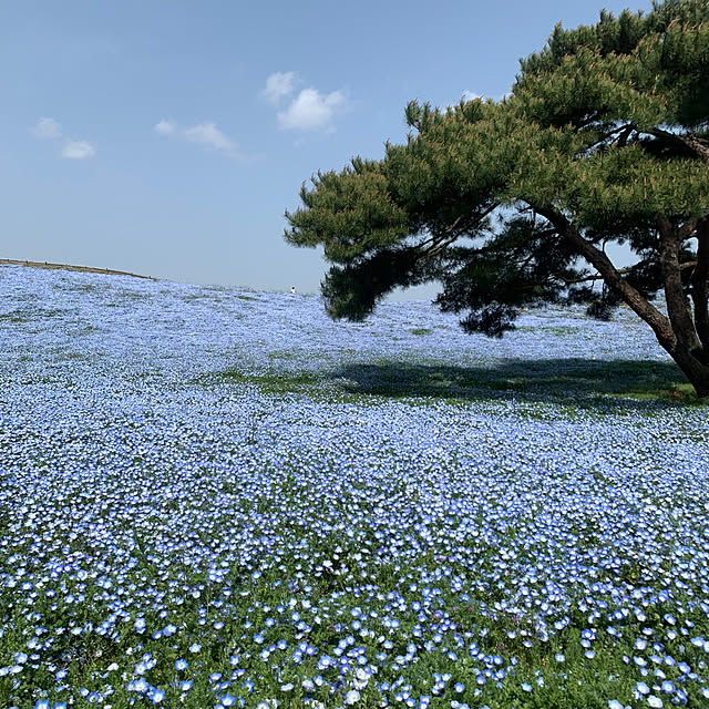 RYOさんの実例写真