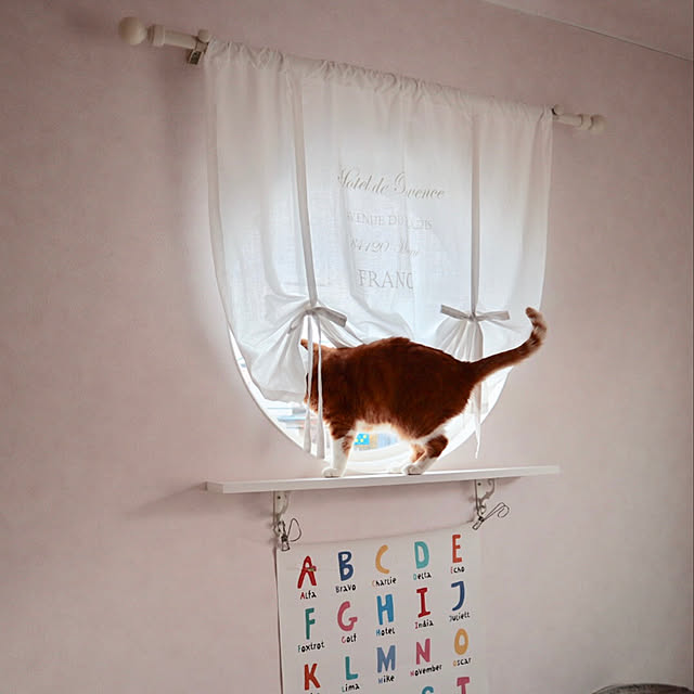 myuuさんの実例写真