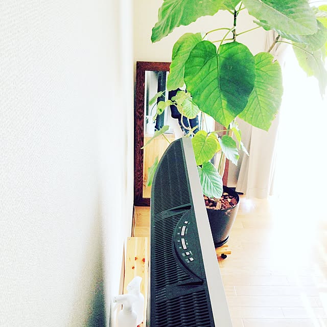 mimyさんの実例写真