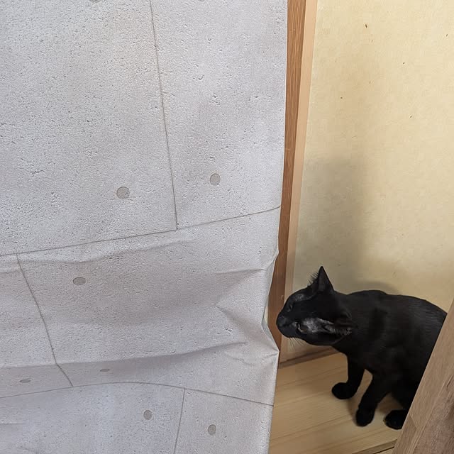 anayoikoさんの部屋