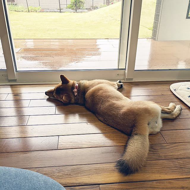 s_h_yさんの実例写真