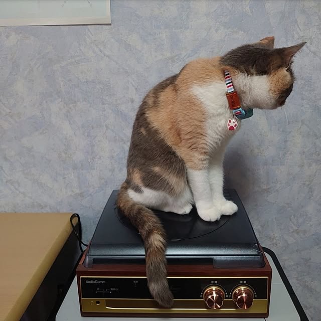 fukuさんの部屋