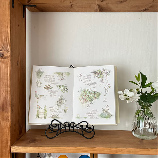 nobikoさんの部屋