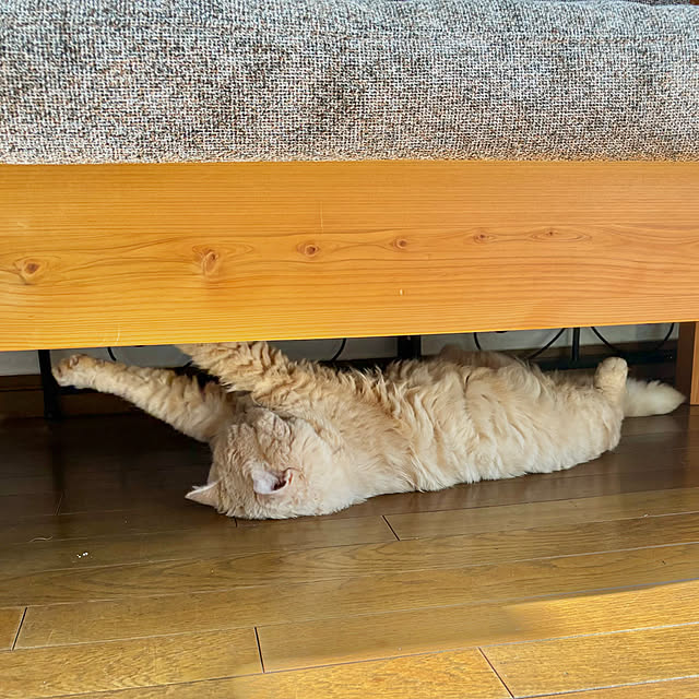 naokoさんの部屋