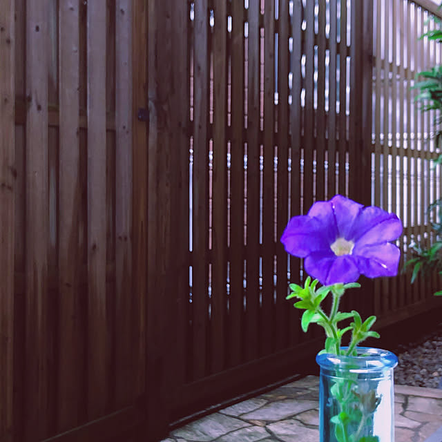chacoさんの実例写真