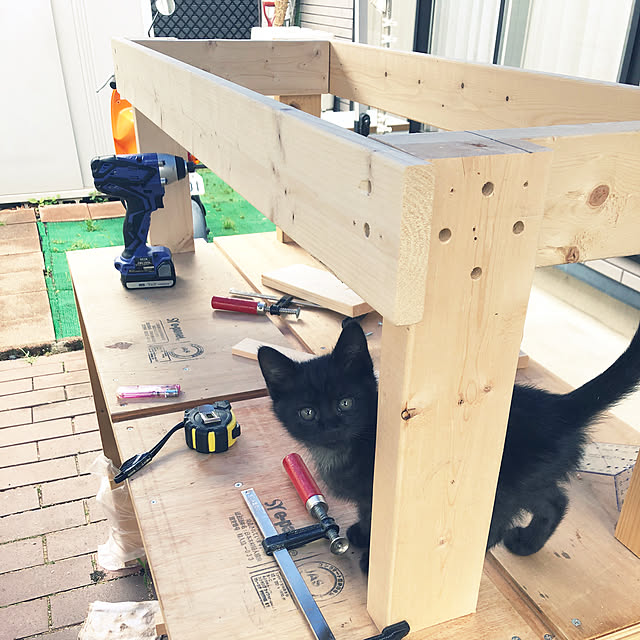 Toruさんの実例写真